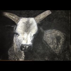 Meet your Posher, Julie